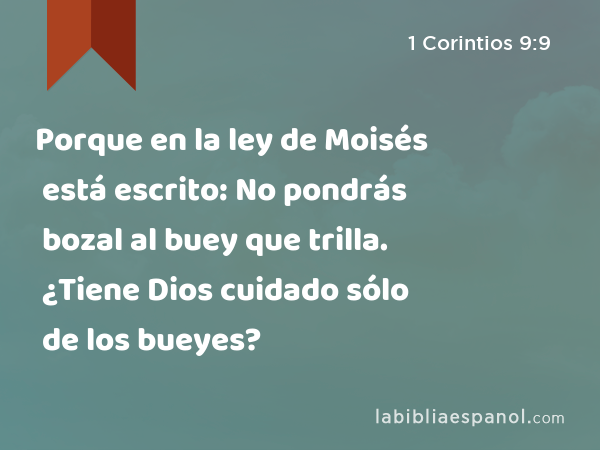 Porque en la ley de Moisés está escrito: No pondrás bozal al buey que trilla. ¿Tiene Dios cuidado sólo de los bueyes? - 1 Corintios 9:9