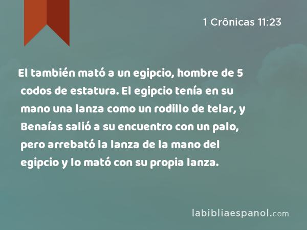 El también mató a un egipcio, hombre de 5 codos de estatura. El egipcio tenía en su mano una lanza como un rodillo de telar, y Benaías salió a su encuentro con un palo, pero arrebató la lanza de la mano del egipcio y lo mató con su propia lanza. - 1 Crônicas 11:23
