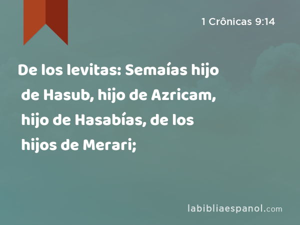 De los levitas: Semaías hijo de Hasub, hijo de Azricam, hijo de Hasabías, de los hijos de Merari; - 1 Crônicas 9:14