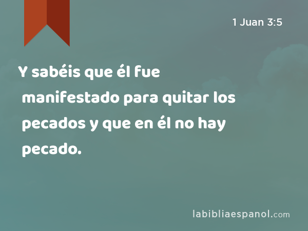 Y sabéis que él fue manifestado para quitar los pecados y que en él no hay pecado. - 1 Juan 3:5