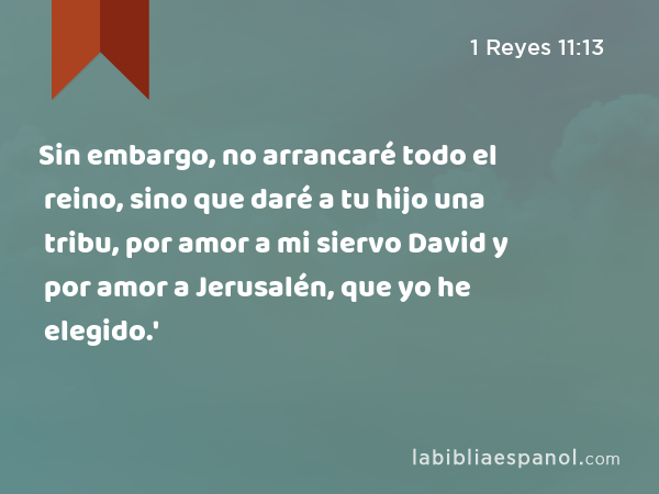 Sin embargo, no arrancaré todo el reino, sino que daré a tu hijo una tribu, por amor a mi siervo David y por amor a Jerusalén, que yo he elegido.' - 1 Reyes 11:13