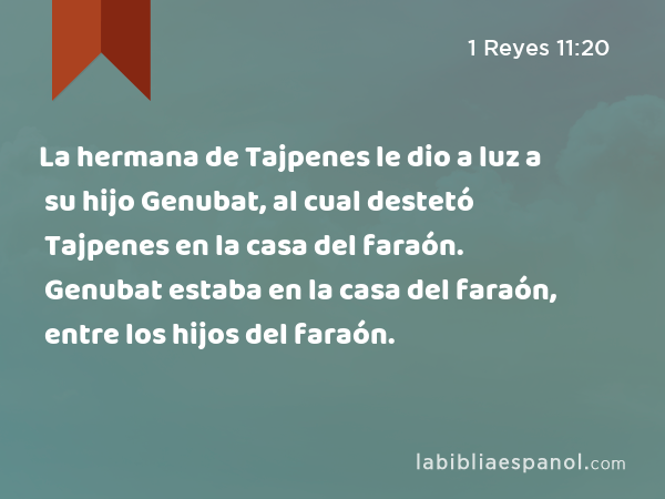 La hermana de Tajpenes le dio a luz a su hijo Genubat, al cual destetó Tajpenes en la casa del faraón. Genubat estaba en la casa del faraón, entre los hijos del faraón. - 1 Reyes 11:20