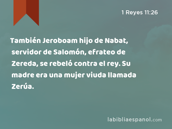 También Jeroboam hijo de Nabat, servidor de Salomón, efrateo de Zereda, se rebeló contra el rey. Su madre era una mujer viuda llamada Zerúa. - 1 Reyes 11:26