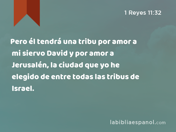 Pero él tendrá una tribu por amor a mi siervo David y por amor a Jerusalén, la ciudad que yo he elegido de entre todas las tribus de Israel. - 1 Reyes 11:32