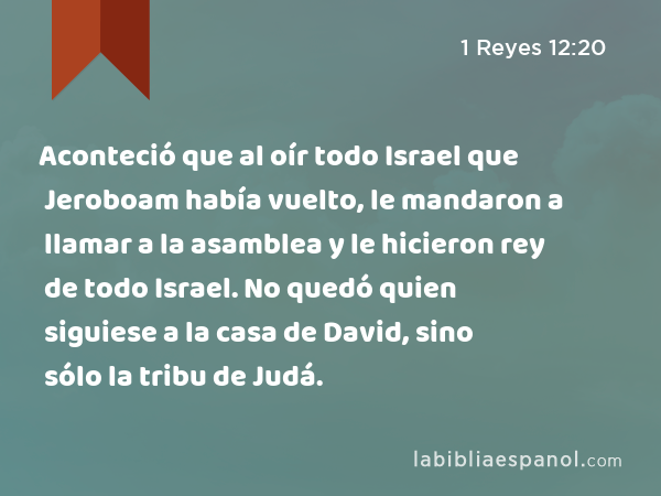 Aconteció que al oír todo Israel que Jeroboam había vuelto, le mandaron a llamar a la asamblea y le hicieron rey de todo Israel. No quedó quien siguiese a la casa de David, sino sólo la tribu de Judá. - 1 Reyes 12:20