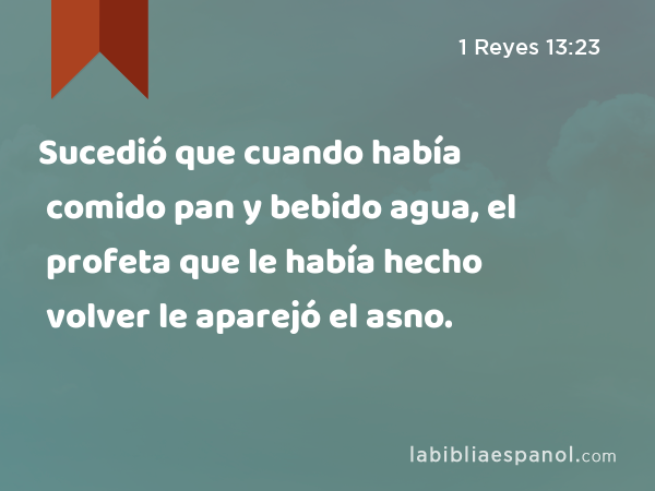 Sucedió que cuando había comido pan y bebido agua, el profeta que le había hecho volver le aparejó el asno. - 1 Reyes 13:23