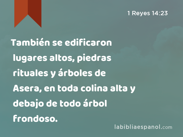 También se edificaron lugares altos, piedras rituales y árboles de Asera, en toda colina alta y debajo de todo árbol frondoso. - 1 Reyes 14:23