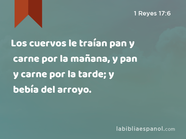 Los cuervos le traían pan y carne por la mañana, y pan y carne por la tarde; y bebía del arroyo. - 1 Reyes 17:6