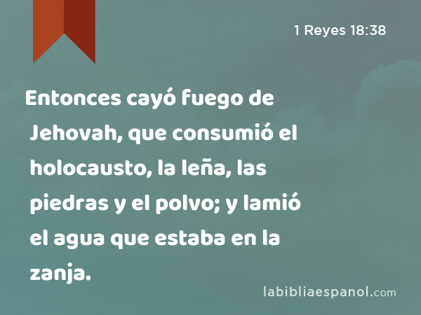 Entonces cayó fuego de Jehovah, que consumió el holocausto, la leña, las piedras y el polvo; y lamió el agua que estaba en la zanja. - 1 Reyes 18:38