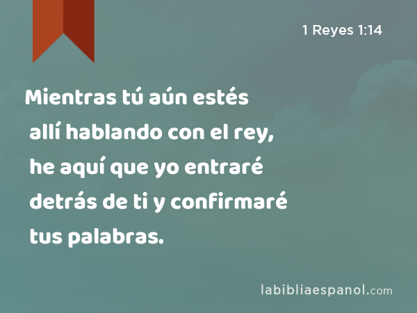 Mientras tú aún estés allí hablando con el rey, he aquí que yo entraré detrás de ti y confirmaré tus palabras. - 1 Reyes 1:14