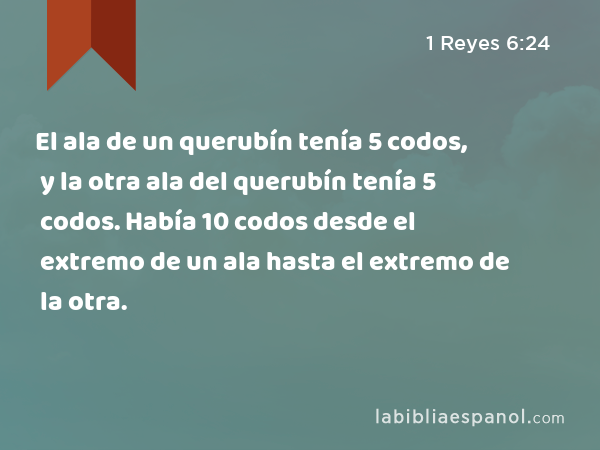 El ala de un querubín tenía 5 codos, y la otra ala del querubín tenía 5 codos. Había 10 codos desde el extremo de un ala hasta el extremo de la otra. - 1 Reyes 6:24