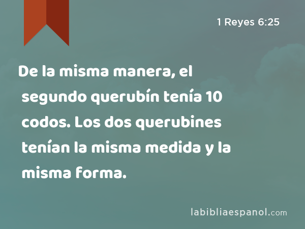 De la misma manera, el segundo querubín tenía 10 codos. Los dos querubines tenían la misma medida y la misma forma. - 1 Reyes 6:25