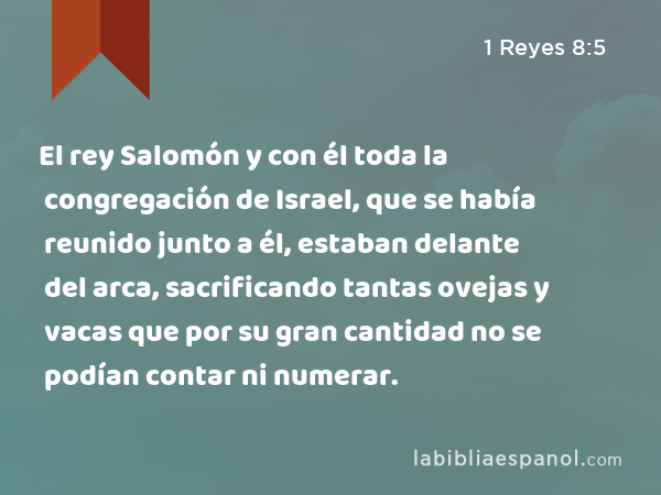 El rey Salomón y con él toda la congregación de Israel, que se había reunido junto a él, estaban delante del arca, sacrificando tantas ovejas y vacas que por su gran cantidad no se podían contar ni numerar. - 1 Reyes 8:5