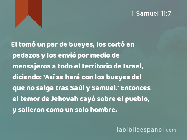 El tomó un par de bueyes, los cortó en pedazos y los envió por medio de mensajeros a todo el territorio de Israel, diciendo: 'Así se hará con los bueyes del que no salga tras Saúl y Samuel.' Entonces el temor de Jehovah cayó sobre el pueblo, y salieron como un solo hombre. - 1 Samuel 11:7