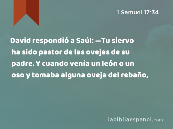 David respondió a Saúl: —Tu siervo ha sido pastor de las ovejas de su padre. Y cuando venía un león o un oso y tomaba alguna oveja del rebaño, - 1 Samuel 17:34