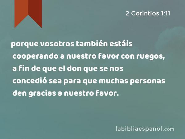 porque vosotros también estáis cooperando a nuestro favor con ruegos, a fin de que el don que se nos concedió sea para que muchas personas den gracias a nuestro favor. - 2 Corintios 1:11