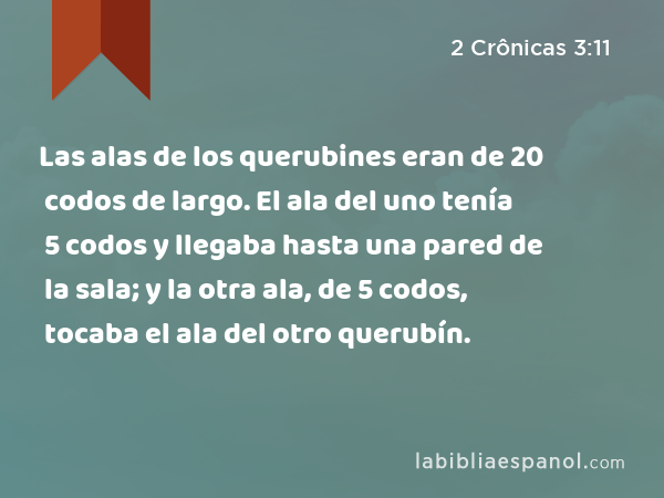 Las alas de los querubines eran de 20 codos de largo. El ala del uno tenía 5 codos y llegaba hasta una pared de la sala; y la otra ala, de 5 codos, tocaba el ala del otro querubín. - 2 Crônicas 3:11