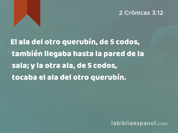 El ala del otro querubín, de 5 codos, también llegaba hasta la pared de la sala; y la otra ala, de 5 codos, tocaba el ala del otro querubín. - 2 Crônicas 3:12