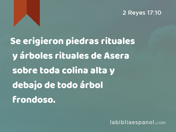 Se erigieron piedras rituales y árboles rituales de Asera sobre toda colina alta y debajo de todo árbol frondoso. - 2 Reyes 17:10