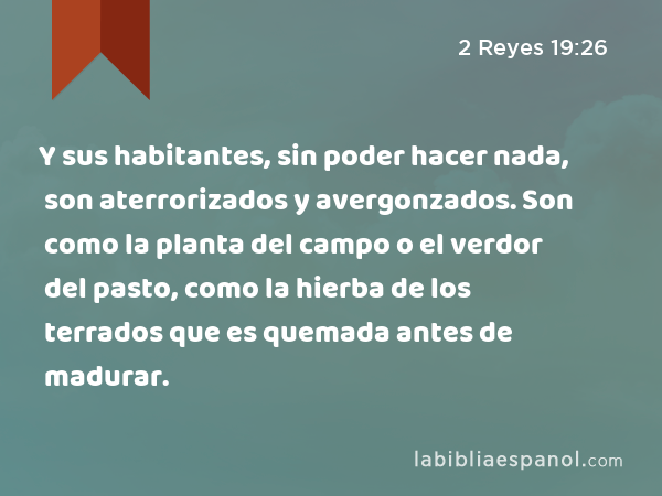 Y sus habitantes, sin poder hacer nada, son aterrorizados y avergonzados. Son como la planta del campo o el verdor del pasto, como la hierba de los terrados que es quemada antes de madurar. - 2 Reyes 19:26