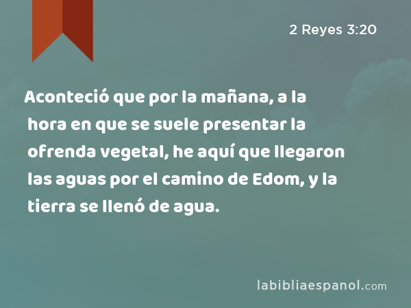 Aconteció que por la mañana, a la hora en que se suele presentar la ofrenda vegetal, he aquí que llegaron las aguas por el camino de Edom, y la tierra se llenó de agua. - 2 Reyes 3:20