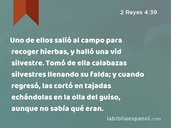 Uno de ellos salió al campo para recoger hierbas, y halló una vid silvestre. Tomó de ella calabazas silvestres llenando su falda; y cuando regresó, las cortó en tajadas echándolas en la olla del guiso, aunque no sabía qué eran. - 2 Reyes 4:39