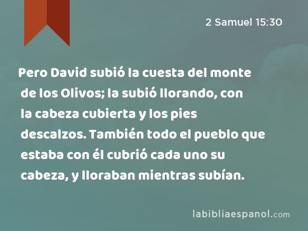 Pero David subió la cuesta del monte de los Olivos; la subió llorando, con la cabeza cubierta y los pies descalzos. También todo el pueblo que estaba con él cubrió cada uno su cabeza, y lloraban mientras subían. - 2 Samuel 15:30