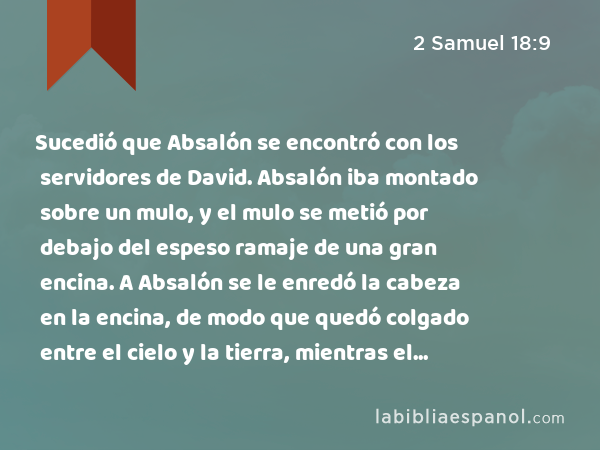 Sucedió que Absalón se encontró con los servidores de David. Absalón iba montado sobre un mulo, y el mulo se metió por debajo del espeso ramaje de una gran encina. A Absalón se le enredó la cabeza en la encina, de modo que quedó colgado entre el cielo y la tierra, mientras el mulo que estaba debajo de él siguió adelante. - 2 Samuel 18:9