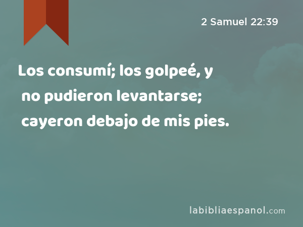 Los consumí; los golpeé, y no pudieron levantarse; cayeron debajo de mis pies. - 2 Samuel 22:39