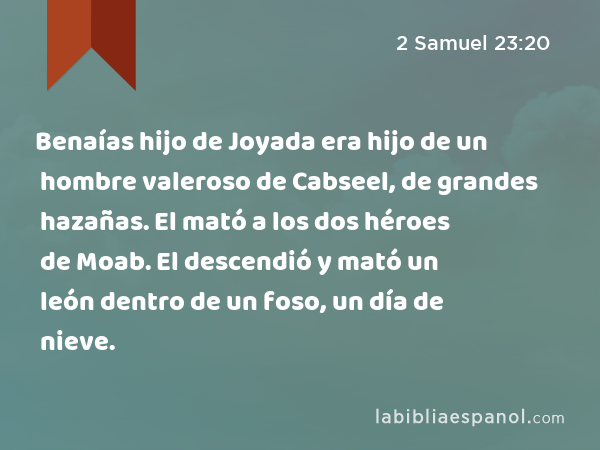 Benaías hijo de Joyada era hijo de un hombre valeroso de Cabseel, de grandes hazañas. El mató a los dos héroes de Moab. El descendió y mató un león dentro de un foso, un día de nieve. - 2 Samuel 23:20