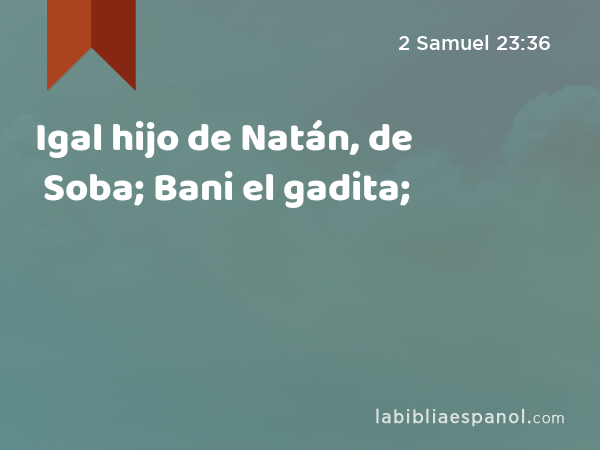 Igal hijo de Natán, de Soba; Bani el gadita; - 2 Samuel 23:36
