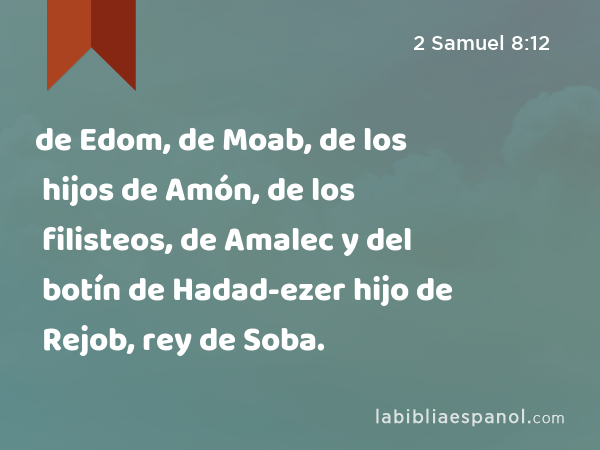 de Edom, de Moab, de los hijos de Amón, de los filisteos, de Amalec y del botín de Hadad-ezer hijo de Rejob, rey de Soba. - 2 Samuel 8:12
