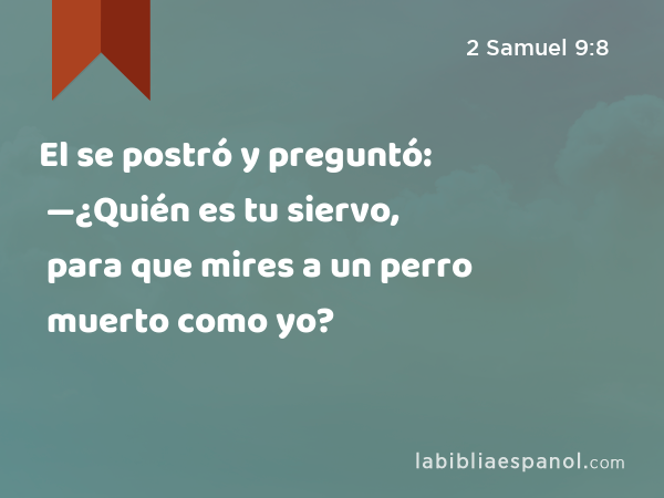 El se postró y preguntó: —¿Quién es tu siervo, para que mires a un perro muerto como yo? - 2 Samuel 9:8