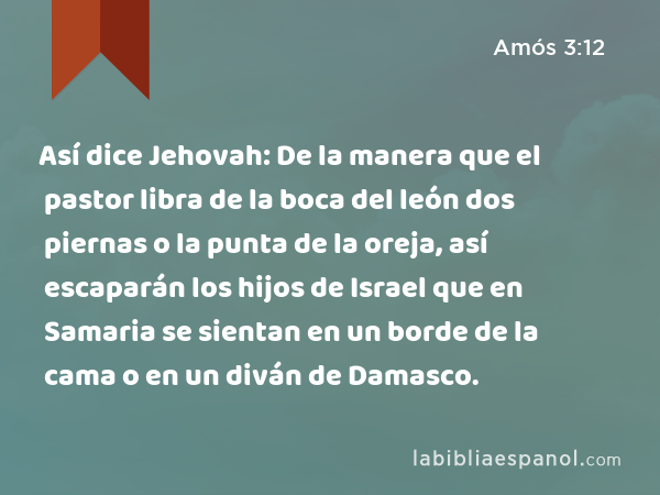 Así dice Jehovah: De la manera que el pastor libra de la boca del león dos piernas o la punta de la oreja, así escaparán los hijos de Israel que en Samaria se sientan en un borde de la cama o en un diván de Damasco. - Amós 3:12