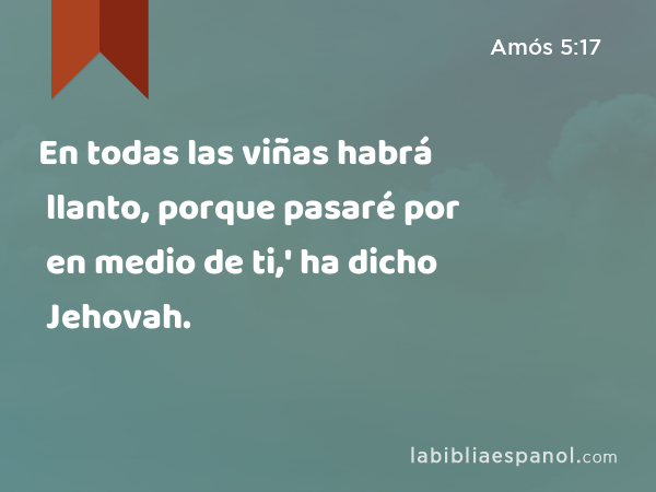 En todas las viñas habrá llanto, porque pasaré por en medio de ti,' ha dicho Jehovah. - Amós 5:17