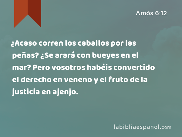 ¿Acaso corren los caballos por las peñas? ¿Se arará con bueyes en el mar? Pero vosotros habéis convertido el derecho en veneno y el fruto de la justicia en ajenjo. - Amós 6:12