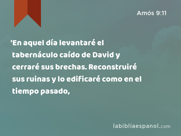 'En aquel día levantaré el tabernáculo caído de David y cerraré sus brechas. Reconstruiré sus ruinas y lo edificaré como en el tiempo pasado, - Amós 9:11