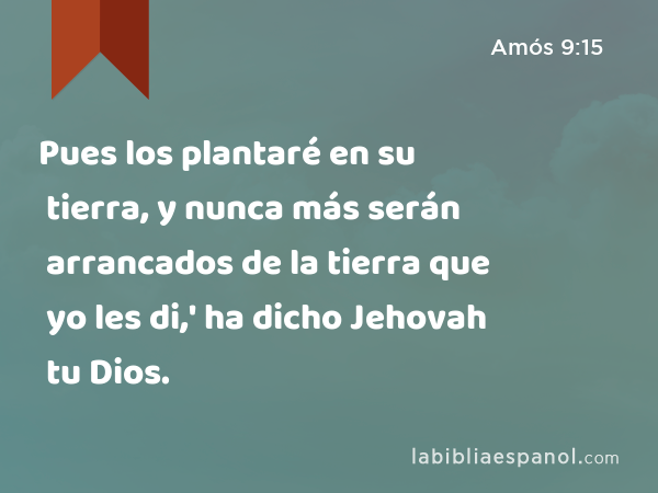 Pues los plantaré en su tierra, y nunca más serán arrancados de la tierra que yo les di,' ha dicho Jehovah tu Dios. - Amós 9:15