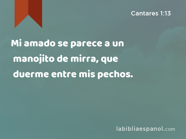 Mi amado se parece a un manojito de mirra, que duerme entre mis pechos. - Cantares 1:13