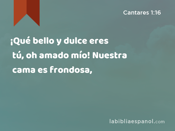 ¡Qué bello y dulce eres tú, oh amado mío! Nuestra cama es frondosa, - Cantares 1:16
