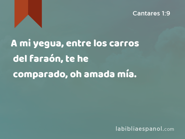 A mi yegua, entre los carros del faraón, te he comparado, oh amada mía. - Cantares 1:9