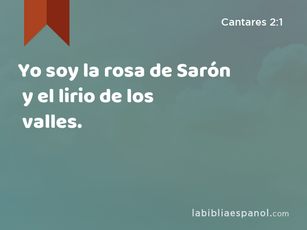 Yo soy la rosa de Sarón y el lirio de los valles. - Cantares 2:1