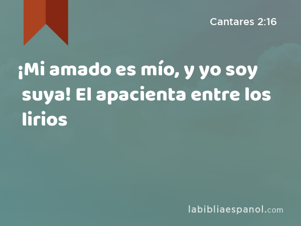 ¡Mi amado es mío, y yo soy suya! El apacienta entre los lirios - Cantares 2:16