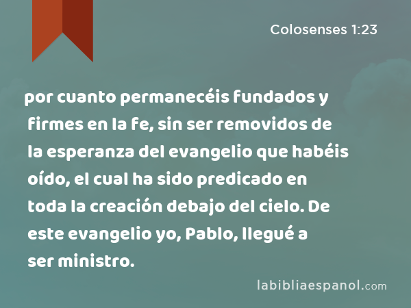 por cuanto permanecéis fundados y firmes en la fe, sin ser removidos de la esperanza del evangelio que habéis oído, el cual ha sido predicado en toda la creación debajo del cielo. De este evangelio yo, Pablo, llegué a ser ministro. - Colosenses 1:23