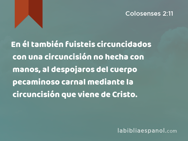 En él también fuisteis circuncidados con una circuncisión no hecha con manos, al despojaros del cuerpo pecaminoso carnal mediante la circuncisión que viene de Cristo. - Colosenses 2:11
