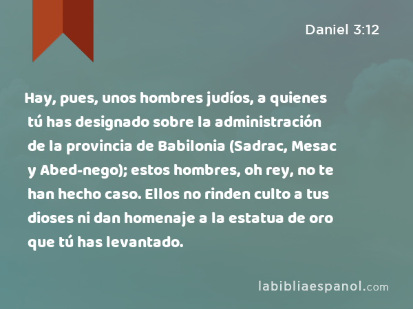 Hay, pues, unos hombres judíos, a quienes tú has designado sobre la administración de la provincia de Babilonia (Sadrac, Mesac y Abed-nego); estos hombres, oh rey, no te han hecho caso. Ellos no rinden culto a tus dioses ni dan homenaje a la estatua de oro que tú has levantado. - Daniel 3:12