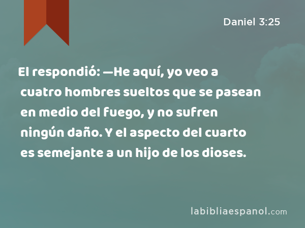 El respondió: —He aquí, yo veo a cuatro hombres sueltos que se pasean en medio del fuego, y no sufren ningún daño. Y el aspecto del cuarto es semejante a un hijo de los dioses. - Daniel 3:25