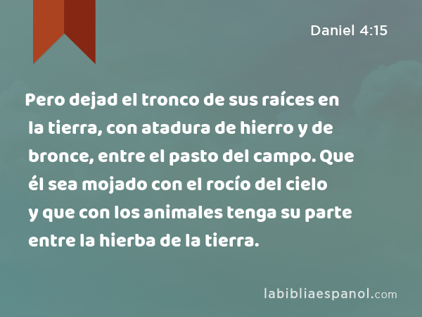 Pero dejad el tronco de sus raíces en la tierra, con atadura de hierro y de bronce, entre el pasto del campo. Que él sea mojado con el rocío del cielo y que con los animales tenga su parte entre la hierba de la tierra. - Daniel 4:15