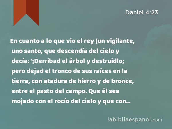 En cuanto a lo que vio el rey (un vigilante, uno santo, que descendía del cielo y decía: '¡Derribad el árbol y destruidlo; pero dejad el tronco de sus raíces en la tierra, con atadura de hierro y de bronce, entre el pasto del campo. Que él sea mojado con el rocío del cielo y que con los animales del campo tenga su parte, hasta que pasen sobre él siete tiempos'), - Daniel 4:23