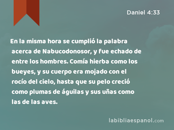 En la misma hora se cumplió la palabra acerca de Nabucodonosor, y fue echado de entre los hombres. Comía hierba como los bueyes, y su cuerpo era mojado con el rocío del cielo, hasta que su pelo creció como plumas de águilas y sus uñas como las de las aves. - Daniel 4:33